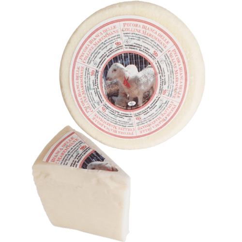 Pecora bianca gr. 300